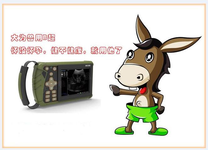 獸用B超機,獸用b超,獸用孕檢B超,毛驢妊娠的直腸檢查法